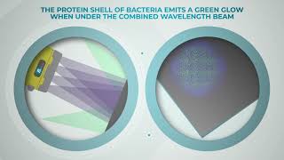 How Bactiscan Works To Effectively Detect Bacteria & Biofilms Fast & At Scale