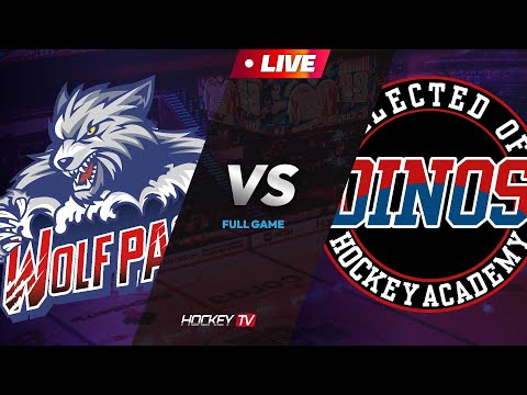 제15회 성남시장배 아이스하키대회 G4 울프팩 vs 다이노스 [LIVE] 2024.11.17