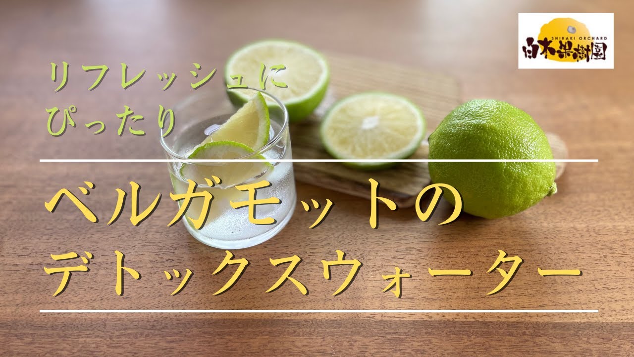 文旦屋 白木果樹園 ベルガモットのデトックスウォーターの作り方 ベルガモットの香りでリフレッシュ Youtube