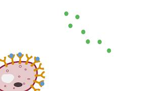 Building Your First SimBiology Model