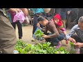 Ly Tieu Ca and Minh Do went to the market to buy rakes and peanuts to plant in the garden.