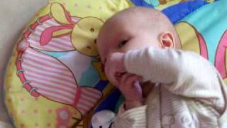 Wie Ich Mich Selbst Auffutter...