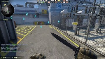 CS:GO Undetected Cheat/Hack 2017 wh/trigger/bunnyhop