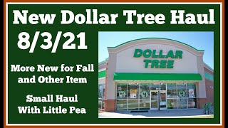 New Dollar Tree Haul ? 8/3/21 New for Fall Items