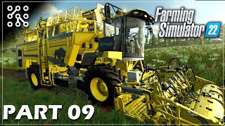 Jek se sklízí cukrová řepa? Překvapilo mě to! #09| Farming Simulator 22 | Lets play | Česky