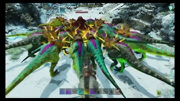 0 Mutation