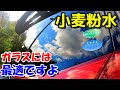 あっと言う間に新品ガラス☆ガラスには小麦粉水めちゃいいですよ☆