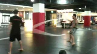 Fightshape Workout