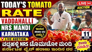 Tomato rate today at VADDAHALLI NRS MANDI KARNATAKA LIVE AUCTION today date August 11th 2026