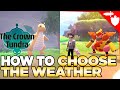 How to CHOOSE the Weather in Crown Tundra Pokemon Sword and Shield DLC