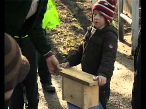 Birds - Neighbourhood Management at Preston City Council