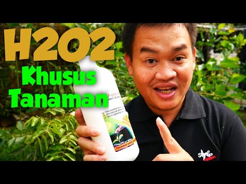 Video: Bagaimanakah anda mengimbangkan K o2 k2o?