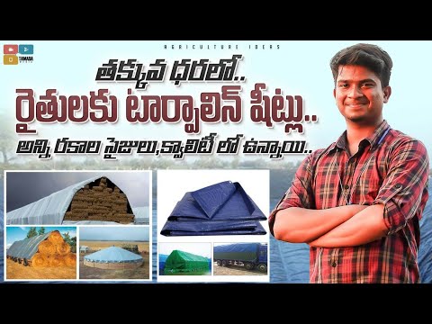 Best Tarpaulin Sheet For Agriculture |  Agriculture Tadpatri | Quality Tarpaulin | Shiva Agri