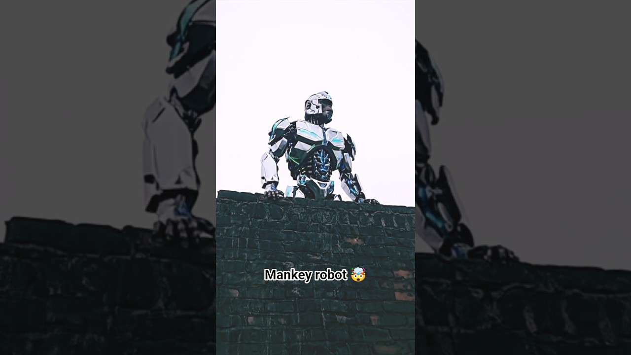 mankey robot 🤖