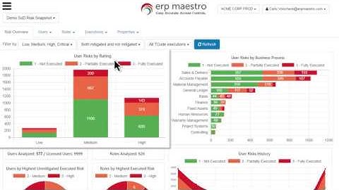 ERP Maestro Product Demonstration Video