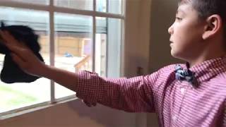 BIG RIGG Cleaning - Pledge Multi Surface
