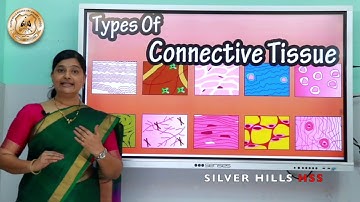 SILVER HILLS HSS | Std XI Bio | Biology | Structural Organization in Animals | Ms Chitra Unni