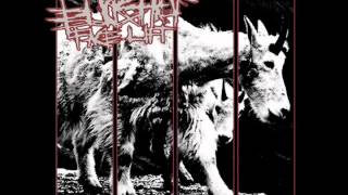 Buckshot Facelift - My Heroes Drink Alone