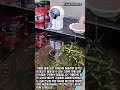 외출해서도 원격으로 어항 관리 끝! 스마트 카메라 급여 시스템 #worker #process #tech #iot #system