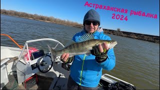 Рыбалка в Астрахани 2024. Весна. Ахтуба, ерик Банный. Селитренное.