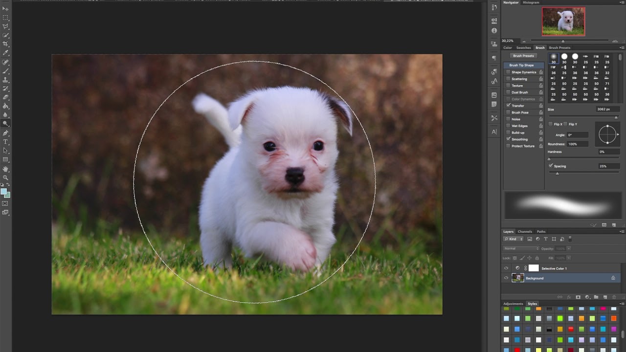 Bilderedigering valp