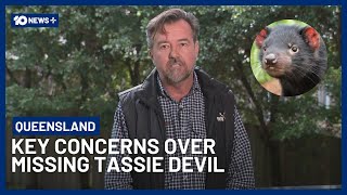 The Hunt For Mary: Australia's Most Wanted Tassie Devil | 10 News+