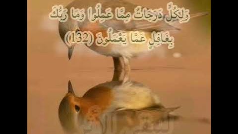 سورة الأنعام صفحة 145 مكررة بصوت الشيخ أيمن سويد