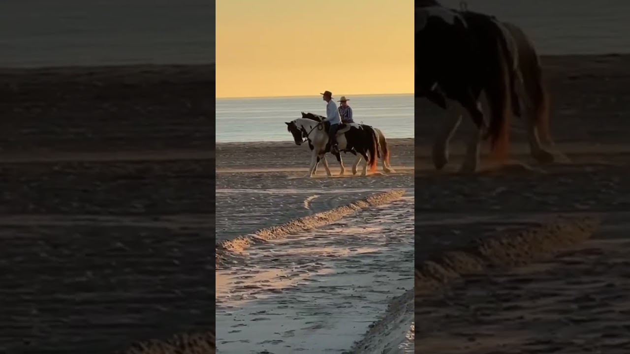 Malibu a Modular Fire Resistant Way of Life -