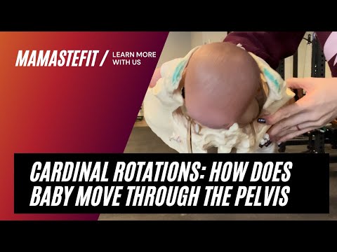 Cardinal Rotations: How Baby Moves Through the Pelvis