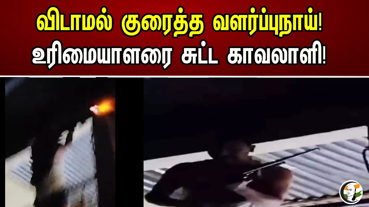 விடாமல் குரைத்த வளர்ப்புநாய்! உரிமையாளரை சுட்ட காவலாளி! | Chanakyaa News | 19.08.2023