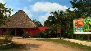 Centre ecotouristique Las Guacamayas au Chiapas