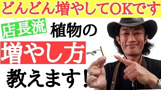 「プロでもやる！」ビッグな園芸店　店長が植物の増やし方を教えます！　ご自宅の植物がどんどん増える　挿し芽　　·挿し木の方法を分かりやすく実演します　ガーデニングがめちゃくちゃ楽しくなる！