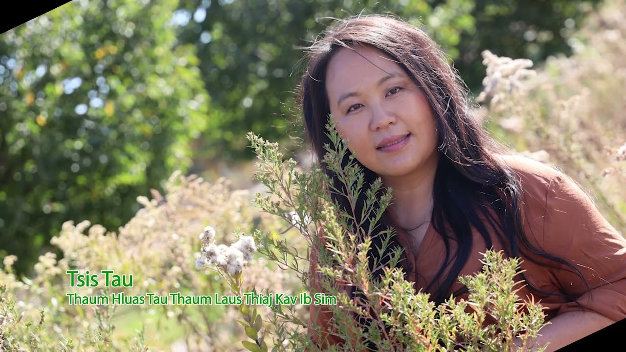 Tsis Tau Thaum Hluas Tau Thaum Laus Thiaj Kav Ib Sim. 1/31/2026