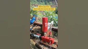 Bơm tự áp mini không cần điện năng #shorts