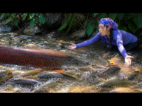 Lucky day in the stream: Catching 250kg+ giant catfish & carp for market sale with daughter & son