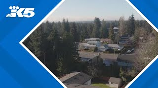 Lynnwood City Council approves 52% property tax increase