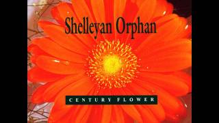 Shelleyan Orphan Between Two Waves