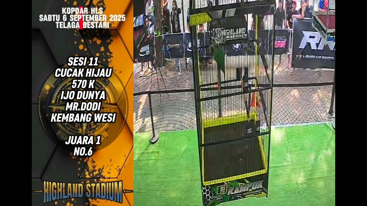 JUARA 1 IJO DUNYA MR.DODI KEMBANG WESI