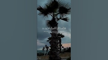 وهو الذي أنشأ لكم السمع والأبصار والأفئدة قليلا ما تشكرون  سورة المؤمنون