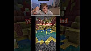 Minecraft New Update | #shorts #minecraft