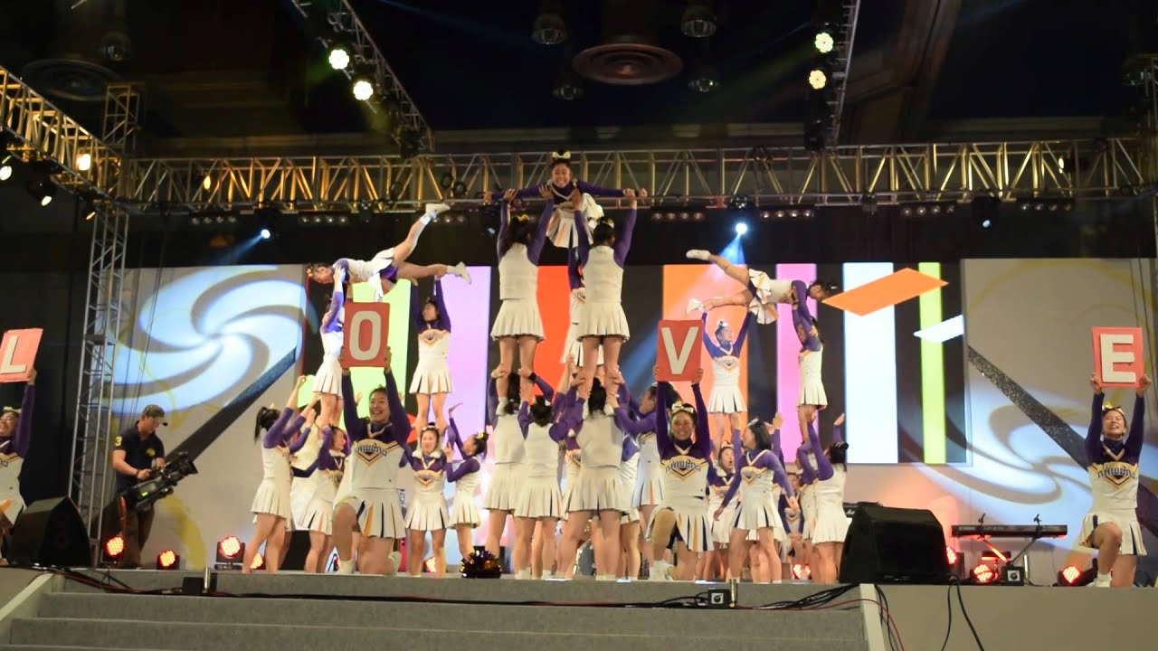 2015년 한일축제한마당 치어리더 공연