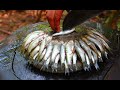 Grilled White Fish with Mango Salad sauce - Cooking White Fish for Food