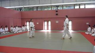 昭道館 0807成山哲郎師範夏季講習会(2)六方向の体捌き