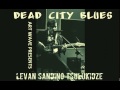 Levan sandino tsulukidze  dead city blues  