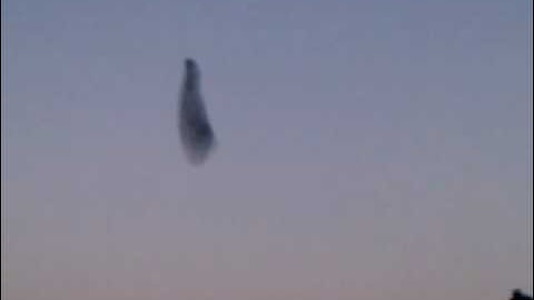 Ruim 60.000 spreeuwen boven Utrecht (amazing starling)