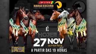 II LIVE HARAS ESCURO - 27/11/2025