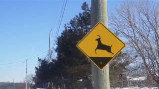 Animated Road Sign