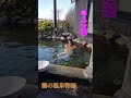 木の花の湯気持ちがいいです #shorts #早乙女蘭 #蘭の温泉物語