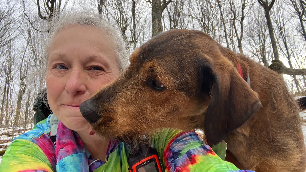 Part 1 - AT ‘26 - Day 41 - February 10, 2026,  Sam’s Gap to Spivey Gap