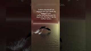 #shorts✨#societalvalues🌟#krishnavani💯#harerama👌#harekrishna💯#hiswordisalive👉#learnfromyourmistakes💯